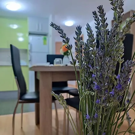 Estrella De Apartamento Teruel