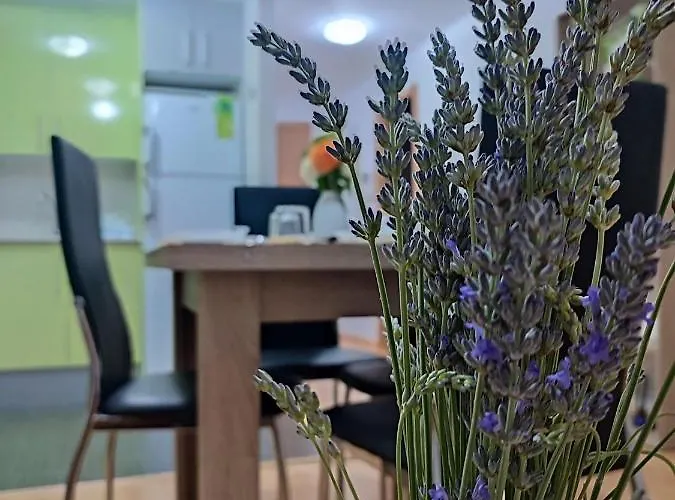 Estrella De Apartment Teruel